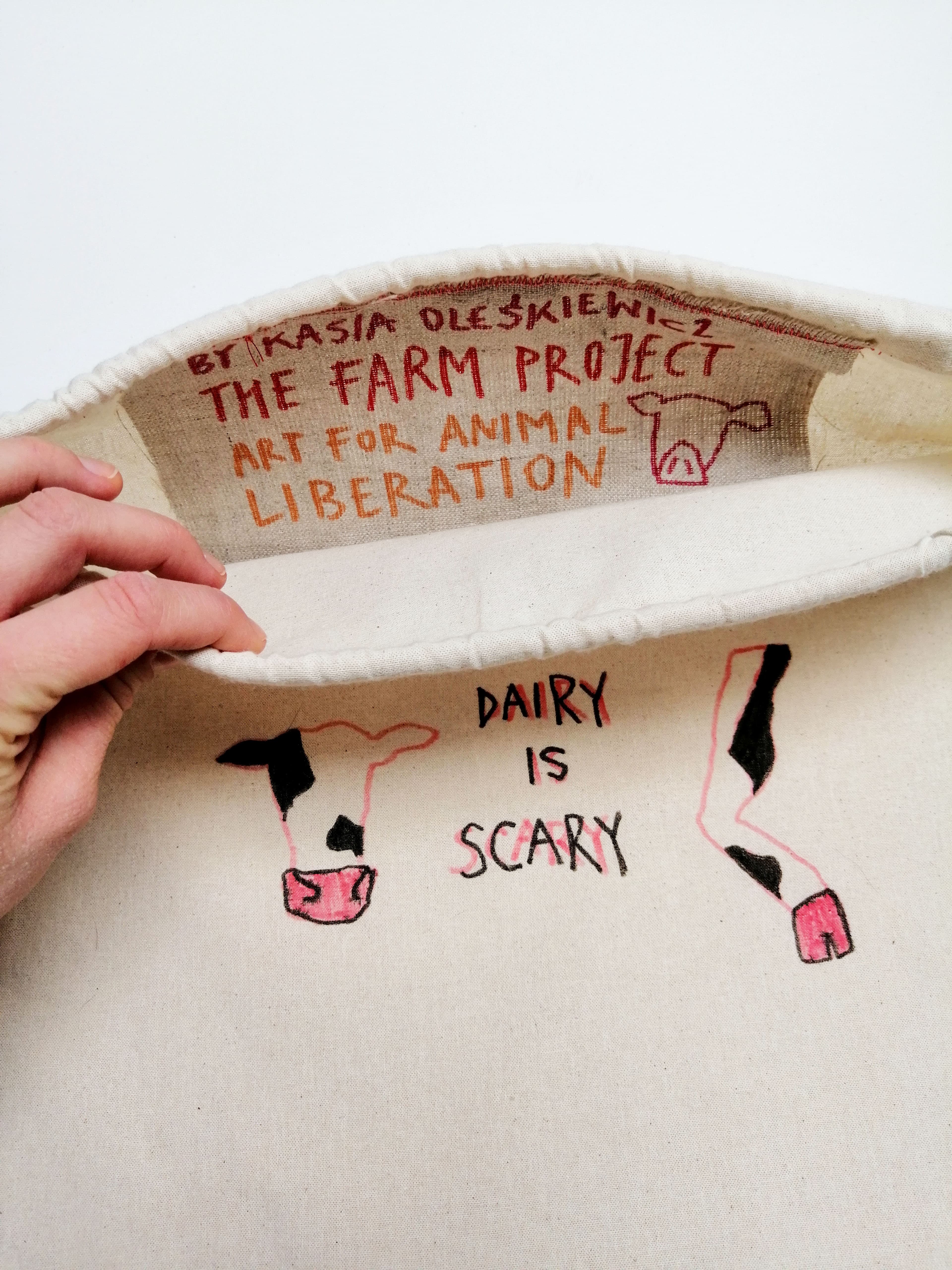 Diary is Scary bag